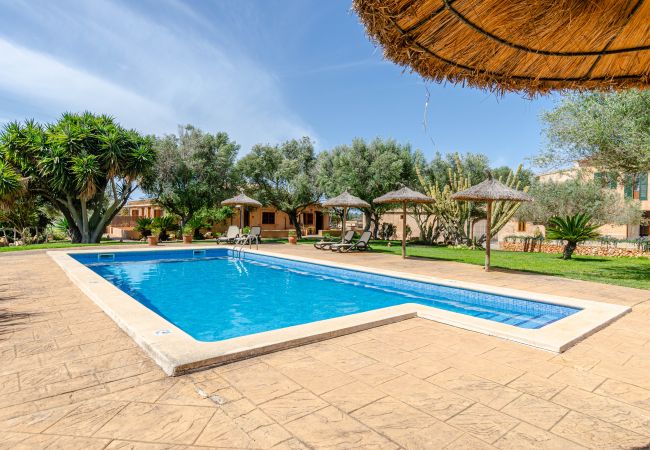 Agrotourismus in Campos - YourHouse Son Sala Agroturismo Vina Vella - doble Agrotourismus in Campos - YourHouse Son Sala Agroturismo Vina Vella - doble