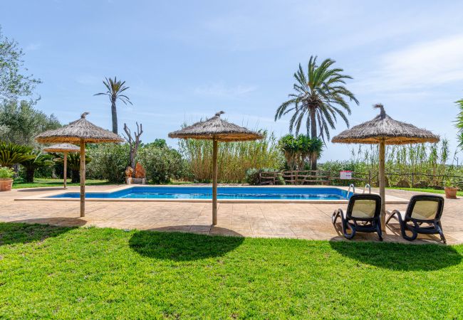 Agrotourismus in Campos - YourHouse Son Sala Agroturismo Vina Vella - doble Agrotourismus in Campos - YourHouse Son Sala Agroturismo Vina Vella - doble