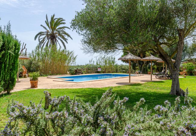 Agrotourismus in Campos - YourHouse Son Sala Agroturismo Vina Vella - doble Agrotourismus in Campos - YourHouse Son Sala Agroturismo Vina Vella - doble