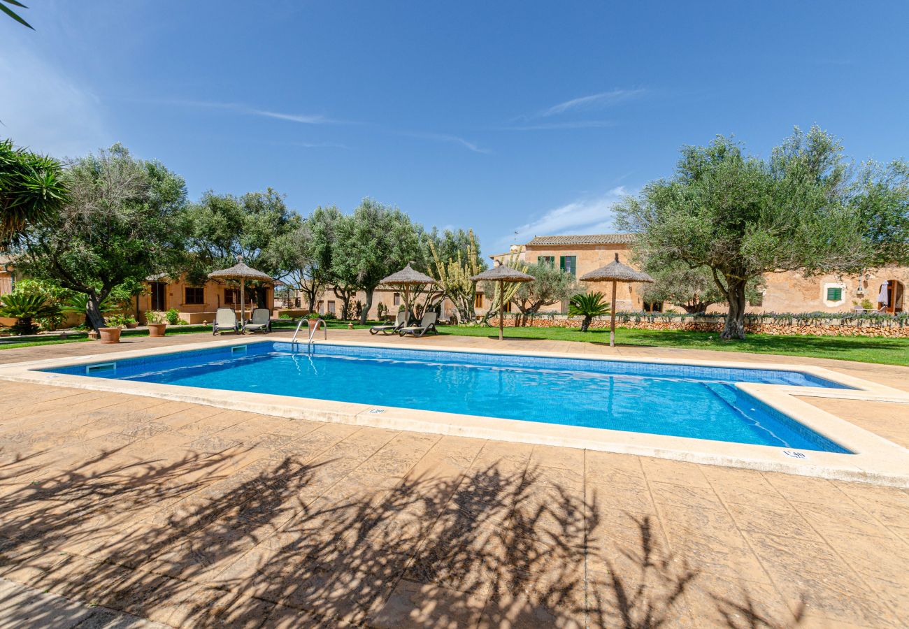 Agrotourismus in Campos - YourHouse Son Sala Agroturismo Vina Vella - doble