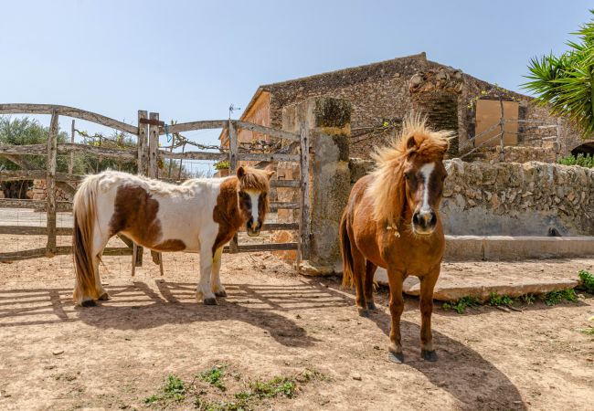 Agrotourismus in Campos - YourHouse Son Sala Agroturismo Na gual doble