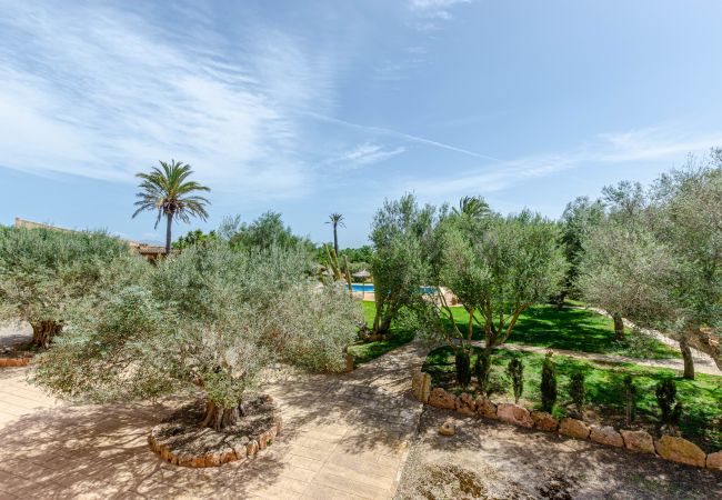 Agrotourismus in Campos - YourHouse Son Sala Agroturisme Es More - doble Agrotourismus in Campos - YourHouse Son Sala Agroturisme Es More - doble