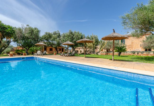 Agrotourismus in Campos - YourHouse Son Sala Agroturisme Es More - doble Agrotourismus in Campos - YourHouse Son Sala Agroturisme Es More - doble