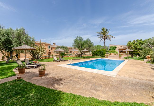 Agrotourismus in Campos - YourHouse Son Sala Terrat Apartment in Agroturismo Agrotourismus in Campos - YourHouse Son Sala Terrat Apartment in Agroturismo