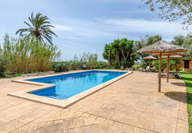 Agrotourismus in Campos - YourHouse Son Sala Terrat Apartment in Agroturismo Agrotourismus in Campos - YourHouse Son Sala Terrat Apartment in Agroturismo