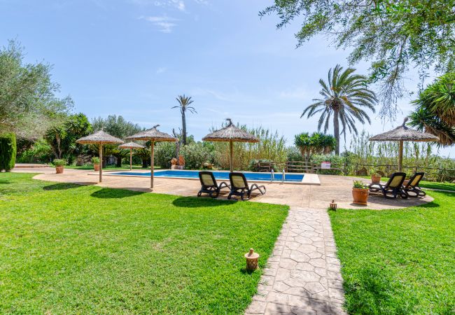 Agrotourismus in Campos - YourHouse Son Sala Terrat Apartment in Agroturismo Agrotourismus in Campos - YourHouse Son Sala Terrat Apartment in Agroturismo