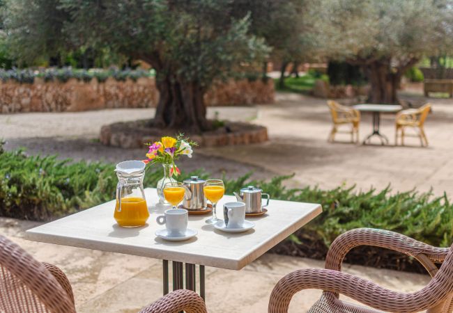 Agrotourismus in Campos - YourHouse Son Sala Terrat Apartment in Agroturismo Agrotourismus in Campos - YourHouse Son Sala Terrat Apartment in Agroturismo