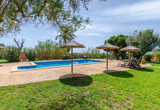 Agrotourismus in Campos - YourHouse Son Sala Terrat Apartment in Agroturismo Agrotourismus in Campos - YourHouse Son Sala Terrat Apartment in Agroturismo