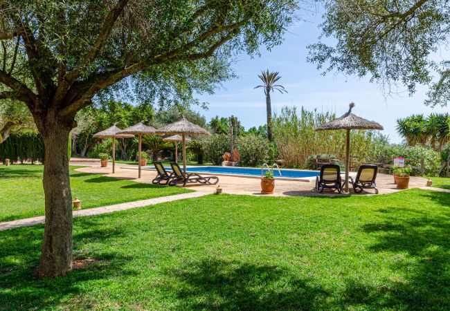 Agrotourismus in Campos - YourHouse Son Sala Terrat Apartment in Agroturismo Agrotourismus in Campos - YourHouse Son Sala Terrat Apartment in Agroturismo