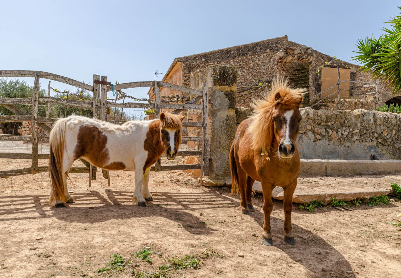 Agrotourismus in Campos - YourHouse Son Sala Terrat Apartment in Agroturismo