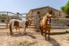 Agrotourismus in Campos - YourHouse Son Sala Agroturismo Galliner - doble Agrotourismus in Campos - YourHouse Son Sala Agroturismo Galliner - doble