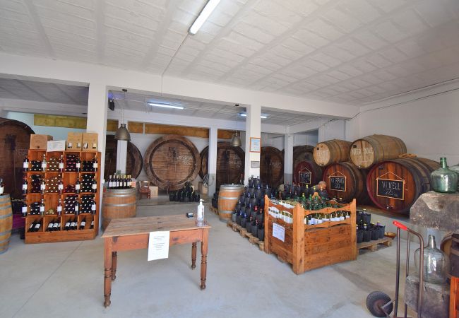 Ferienhaus in Binissalem - 257 Casa Anita ETV/10115 by Mallorca Charme Ferienhaus in Binissalem - 257 Casa Anita ETV/10115 by Mallorca Charme