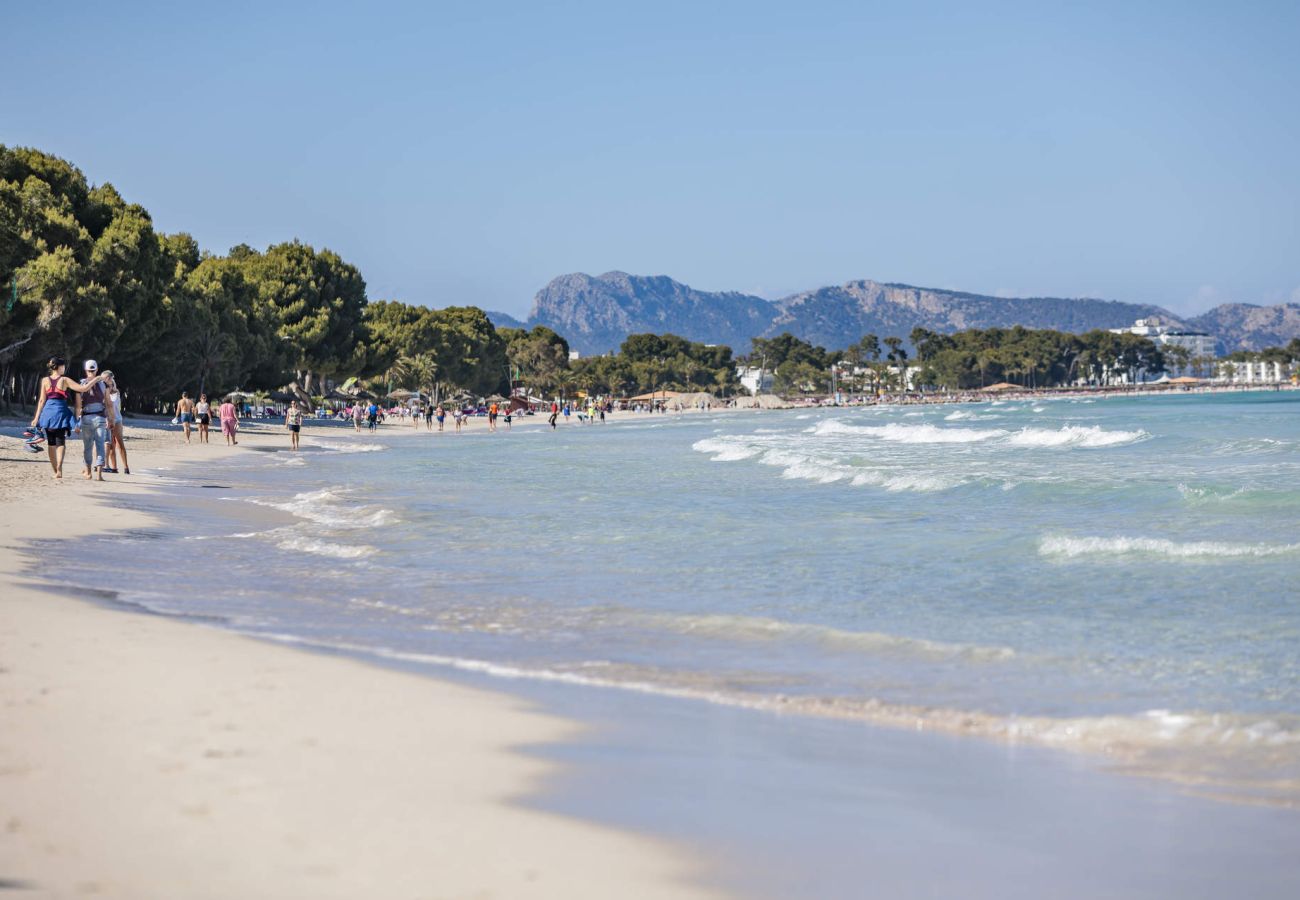 Ferienwohnung in Alcudia - Sunset 1 Room Apartment Carlos V