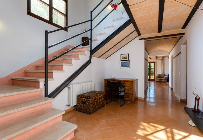 Villa in Arta - YourHouse Casa Laura