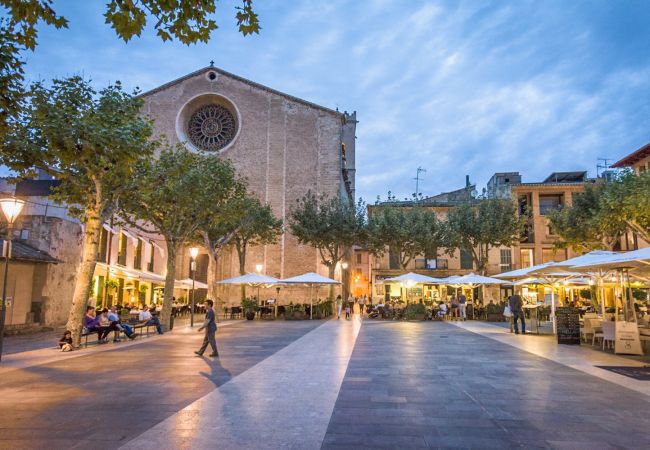 Finca in Pollensa / Pollença - Plantina, Finca 5StarsHome Mallorca Finca in Pollensa / Pollença - Plantina, Finca 5StarsHome Mallorca