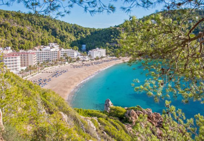 Finca in Pollensa / Pollença - Plantina, Finca 5StarsHome Mallorca Finca in Pollensa / Pollença - Plantina, Finca 5StarsHome Mallorca