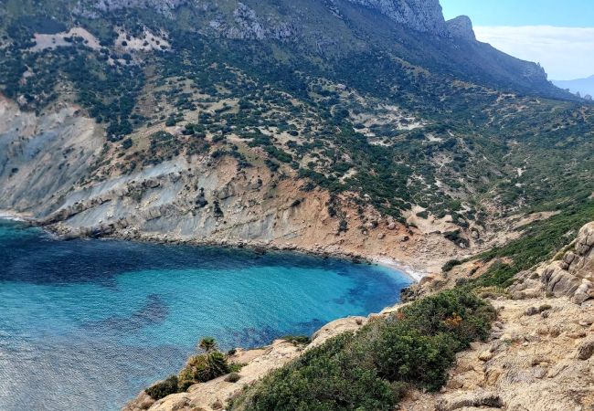 Ferienwohnung in Port de Pollença - YourHouse Llimonera Ferienwohnung in Port de Pollença - YourHouse Llimonera