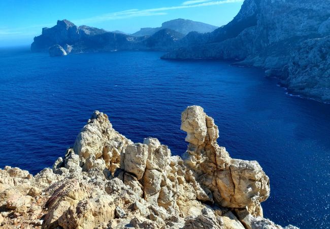 Ferienwohnung in Port de Pollença - YourHouse Llimonera Ferienwohnung in Port de Pollença - YourHouse Llimonera