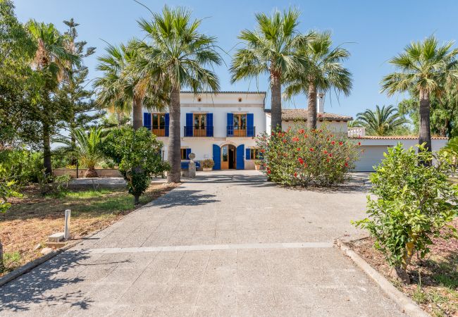 Landhaus in Manacor - Finca Can Galiana