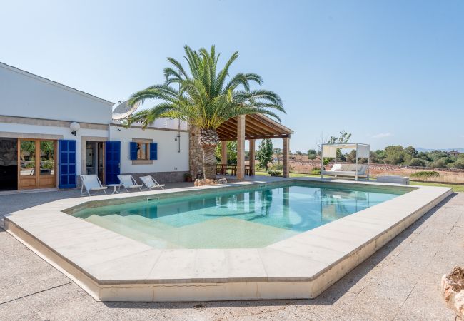 Landhaus in Manacor - Finca Can Galiana