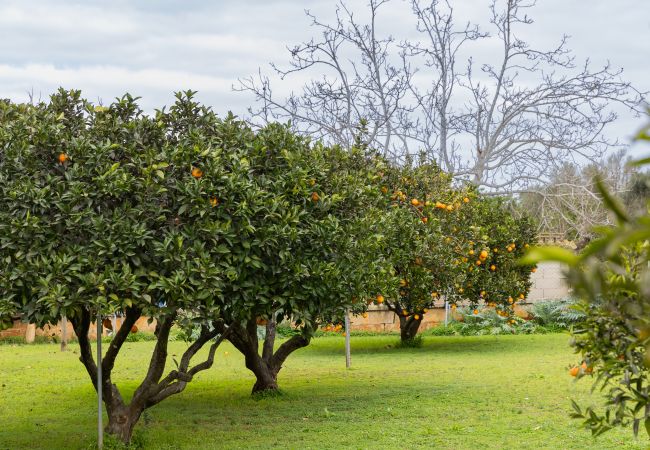 Villa in Llubi - Yourhouse Villa  Sa Caseta Villa in Llubi - Yourhouse Villa  Sa Caseta
