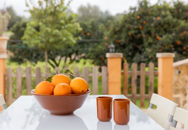 Villa in Llubi - Yourhouse Villa  Sa Caseta Villa in Llubi - Yourhouse Villa  Sa Caseta