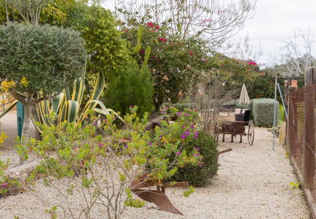 Villa in Llubi - Yourhouse Villa  Sa Caseta Villa in Llubi - Yourhouse Villa  Sa Caseta