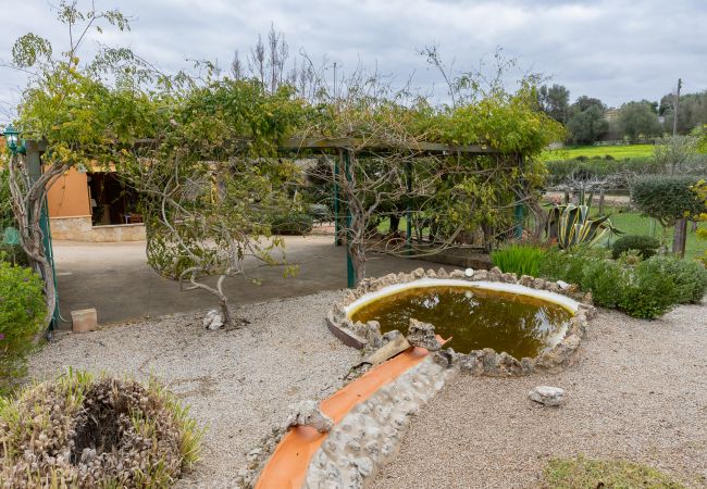 Villa in Llubi - Yourhouse Villa  Sa Caseta Villa in Llubi - Yourhouse Villa  Sa Caseta