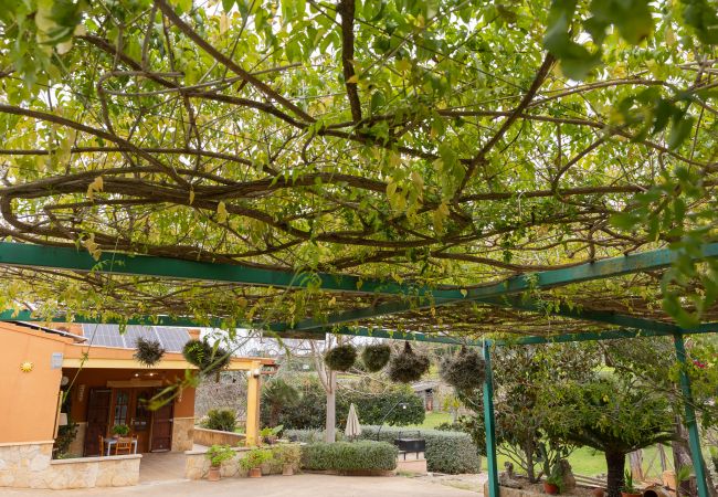 Villa in Llubi - Yourhouse Villa  Sa Caseta Villa in Llubi - Yourhouse Villa  Sa Caseta