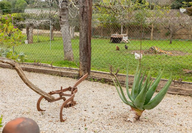 Villa in Llubi - Yourhouse Villa  Sa Caseta Villa in Llubi - Yourhouse Villa  Sa Caseta