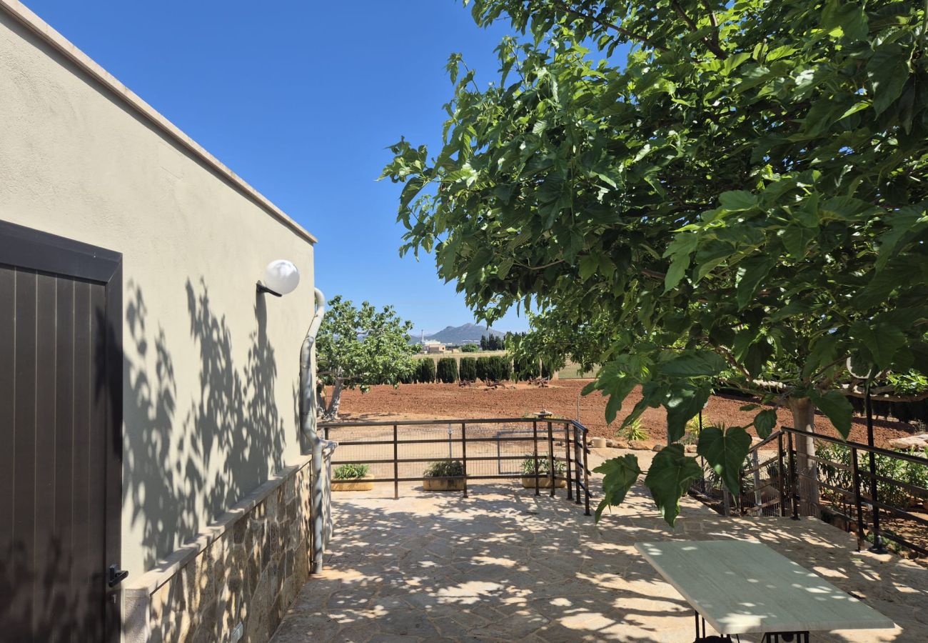 Villa in Muro - YourHouse Cas Padri