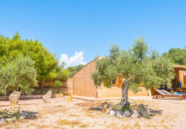 Villa in Son Servera - Sanplana, Villa 5StarsHome Mallorca Villa in Son Servera - Sanplana, Villa 5StarsHome Mallorca
