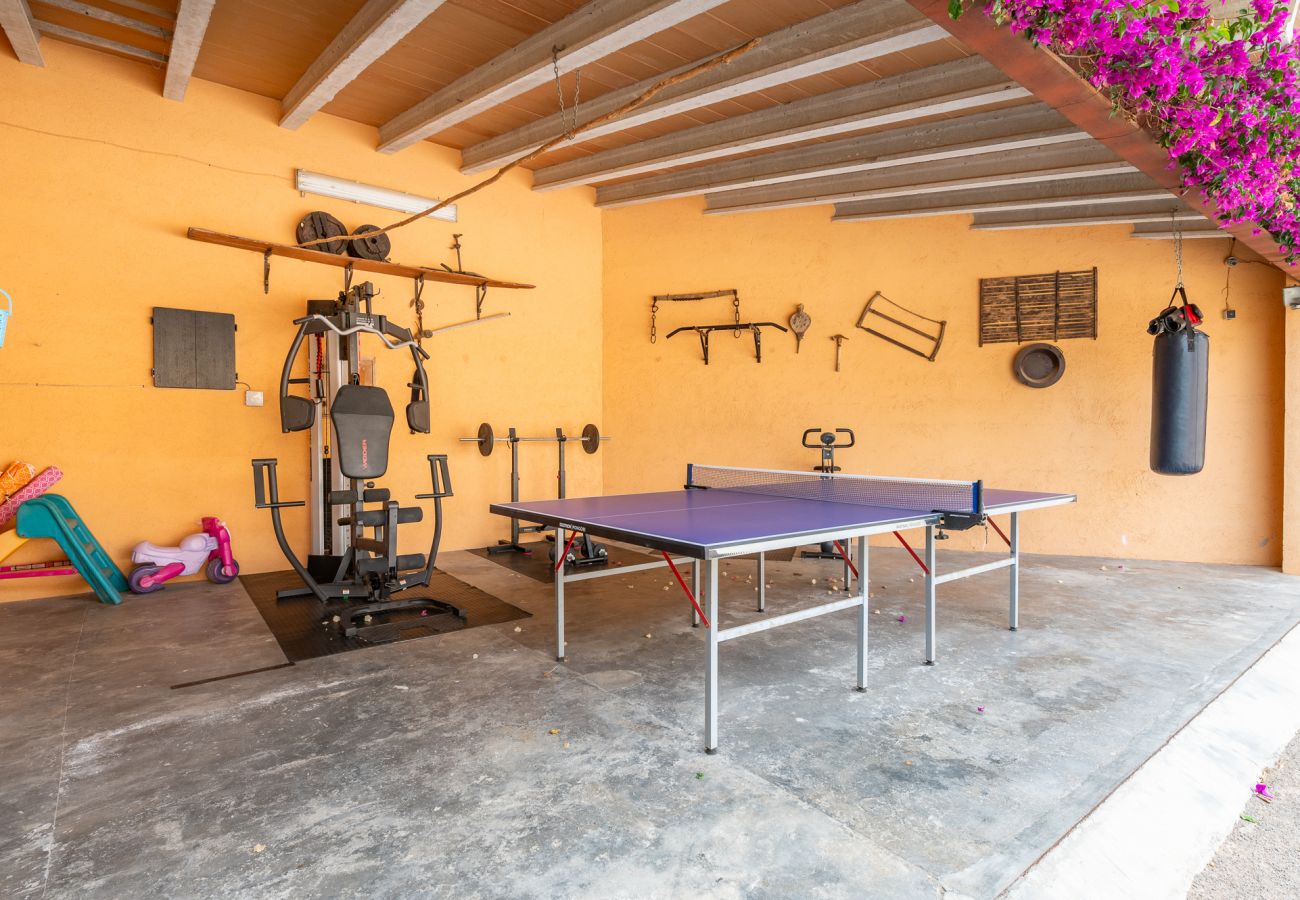 Ferienhaus in Felanitx - Finca Es Sequer by MHR