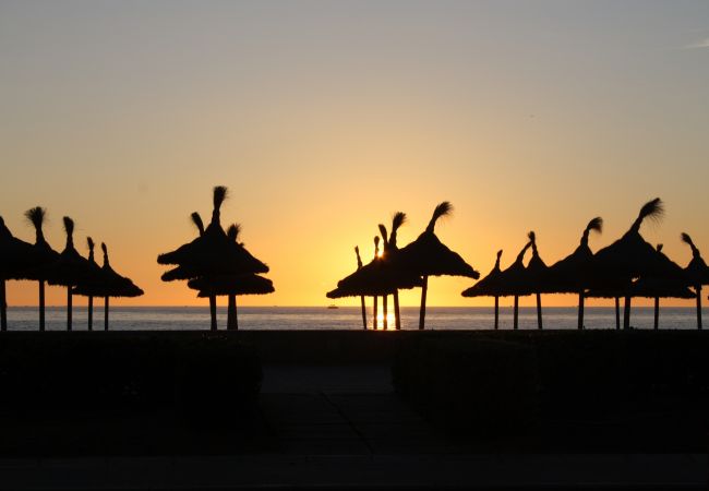 Villa in Son Serra de Marina - 066 Villa Mexic 41 ETV/8816 by Mallorca Charme Villa in Son Serra de Marina - 066 Villa Mexic 41 ETV/8816 by Mallorca Charme