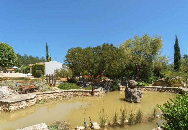 Villa in Pollensa / Pollença - Marirouse 33, Villa 5StarsHome Mallorca Villa in Pollensa / Pollença - Marirouse 33, Villa 5StarsHome Mallorca