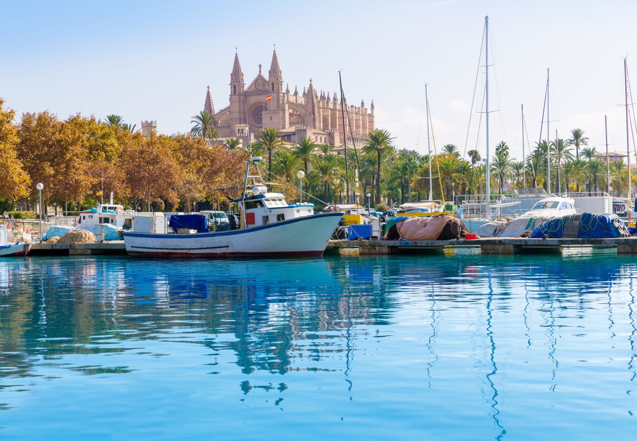 Villa in Son Serra de Marina - M407 Can Aina by Mallorca Villa Selection