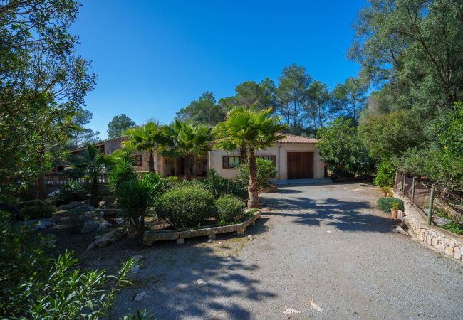 Villa in Sa Pobla - M409 Ferragut Crestatx by Mallorca Villa Selection Villa in Sa Pobla - M409 Ferragut Crestatx by Mallorca Villa Selection