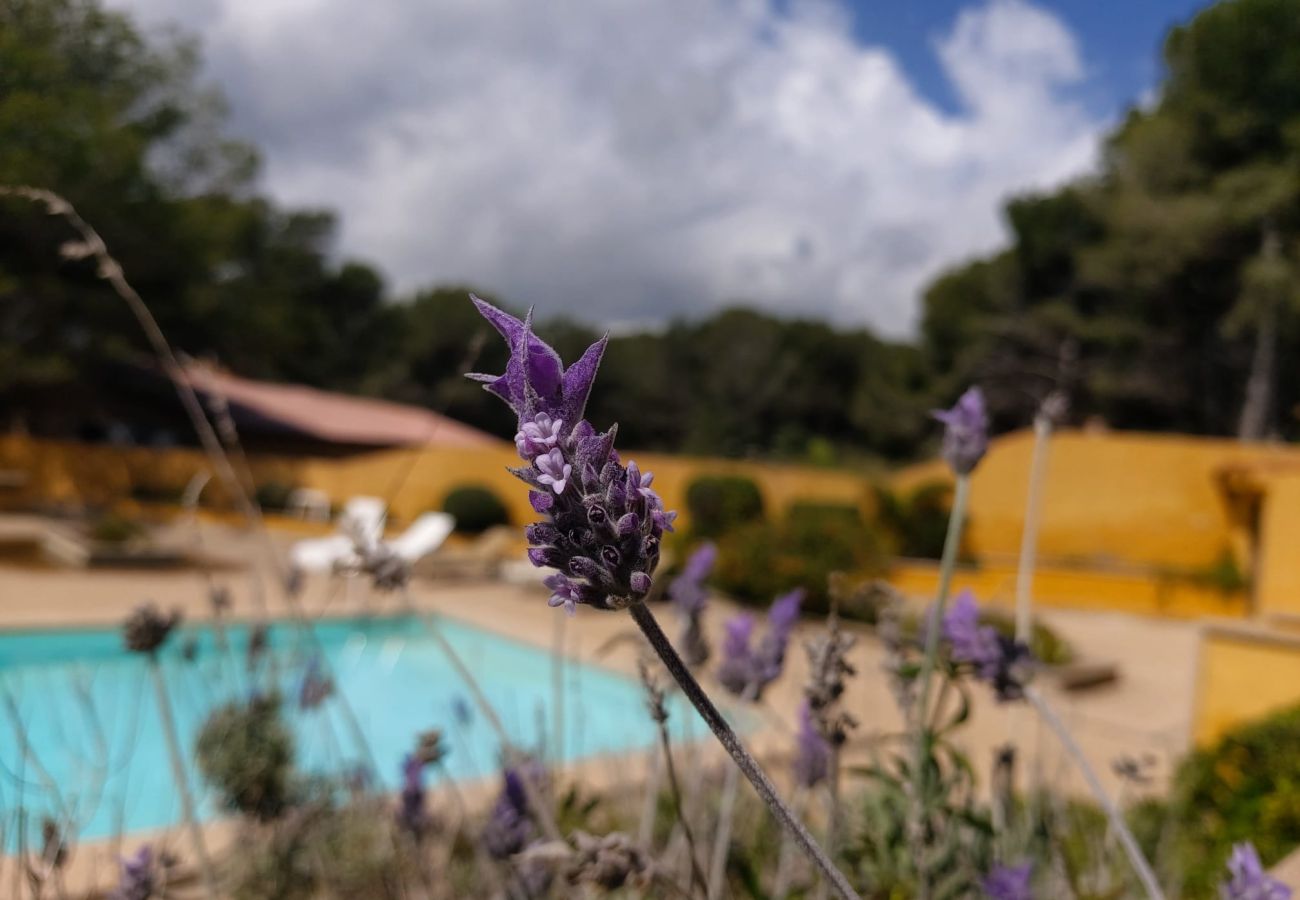 Ferienwohnung in Cala Mesquida - YourHouse Sol i Mar 1