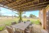 Finca in Manacor - Rustic Coll, Finca 5StarsHome Mallorca Finca in Manacor - Rustic Coll, Finca 5StarsHome Mallorca