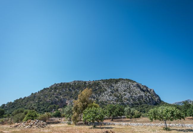 Finca in Pollensa / Pollença - Caliater, Finca 5StarsHome Mallorca Finca in Pollensa / Pollença - Caliater, Finca 5StarsHome Mallorca