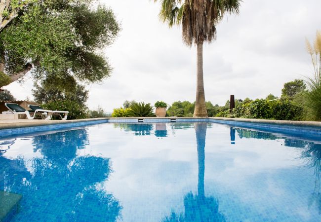 Villa in Arta - YourHouse Sa Vinyeta Vinedo Villa in Arta - YourHouse Sa Vinyeta Vinedo