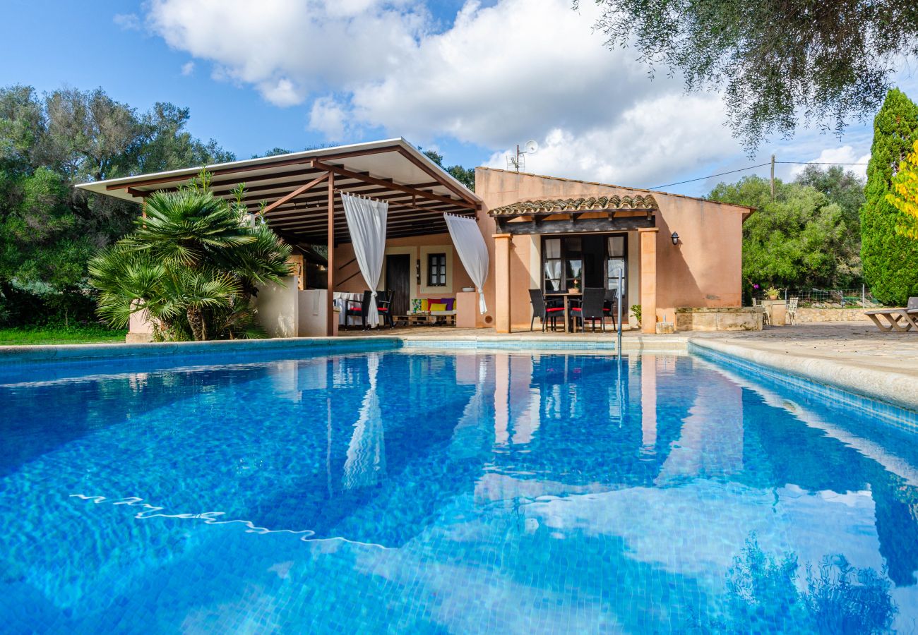 Villa in Arta - YourHouse Sa Vinyeta Vinedo