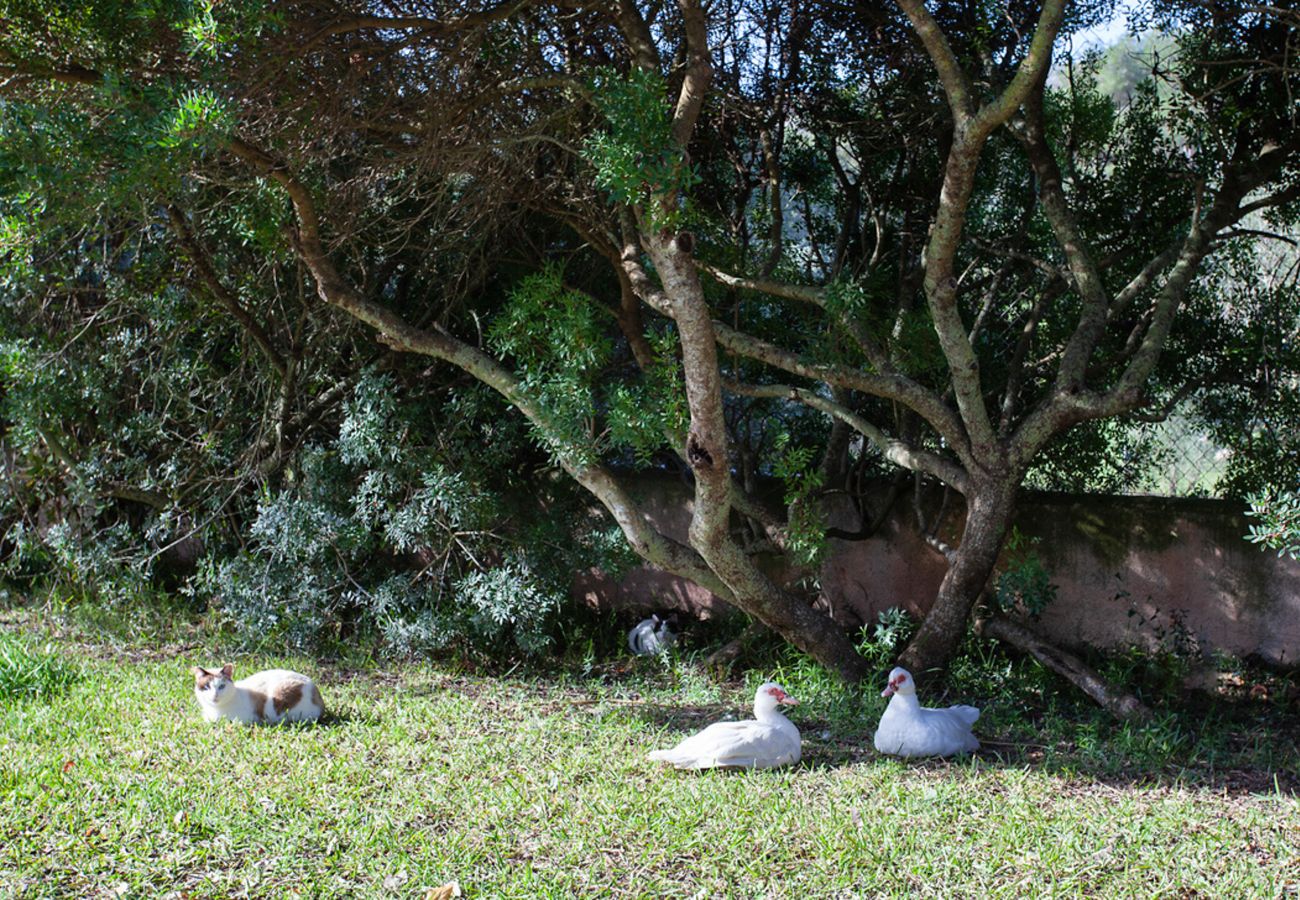 Finca in Sant Llorenç Des Cardassar - Hort de sa Begura, Finca 5StarsHome Mallorca