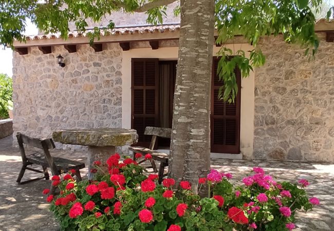 Villa in Arta - YourHouse Son Morey  Villa in Arta - YourHouse Son Morey