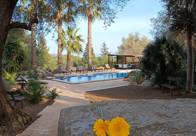 Villa in Arta - YourHouse Son Morey  Villa in Arta - YourHouse Son Morey