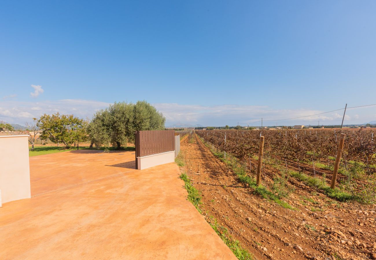 Villa in Muro - 277 Son Sant Joan by Mallorca Charme