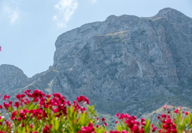 Villa in Arta - Matheo, Villa 5StarsHome Mallorca Villa in Arta - Matheo, Villa 5StarsHome Mallorca