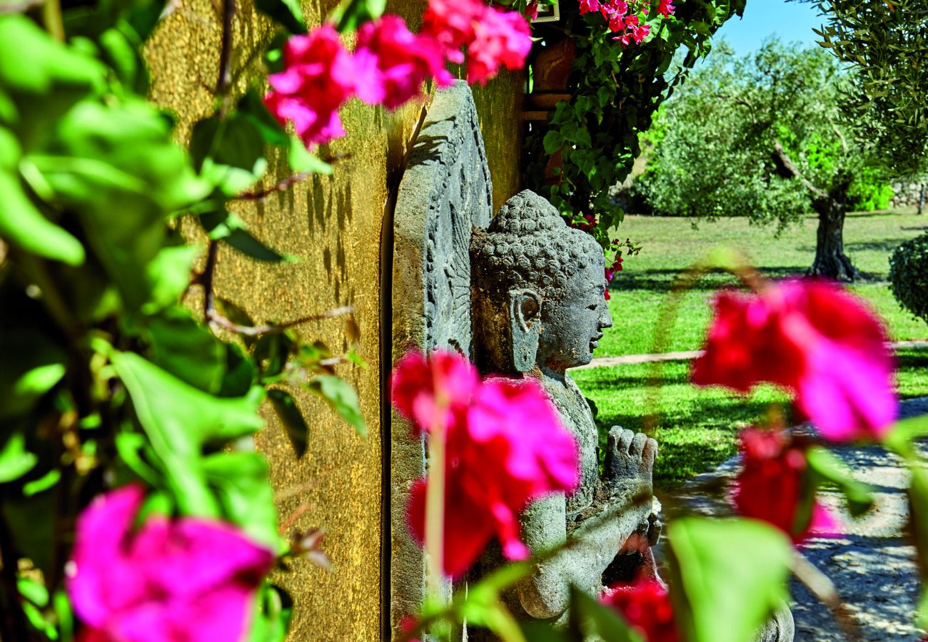 Finca in Pollensa - LA SALVE Ref: VP97