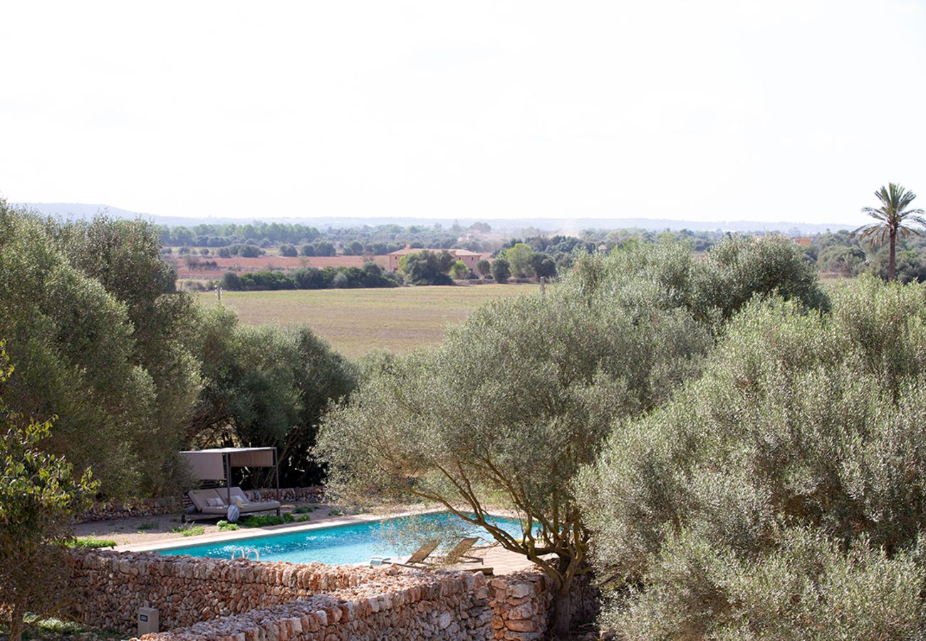 Villa in Campos - Son Llumira, Villa 5StarsHome Mallorca