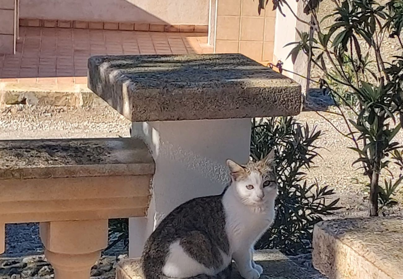 Agrotourismus in Santa Margalida - Agroturismo Son Flo Buguemvillea by YourHouse